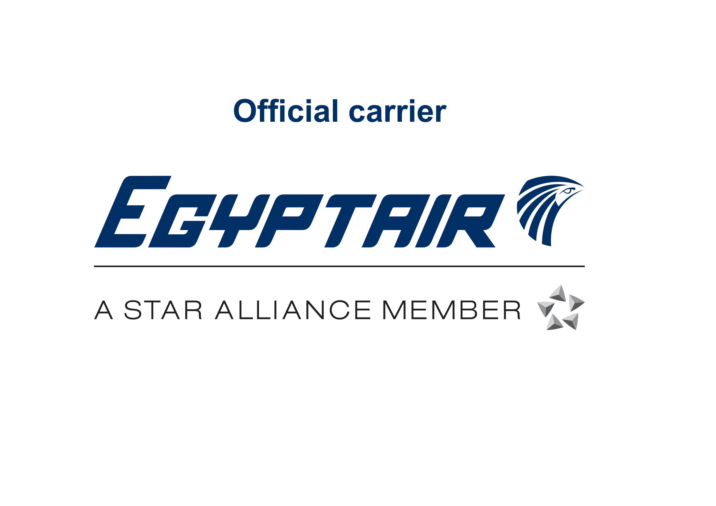 LOGO official carrier-1